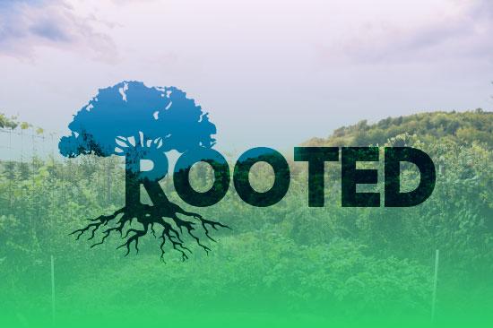 Rooted